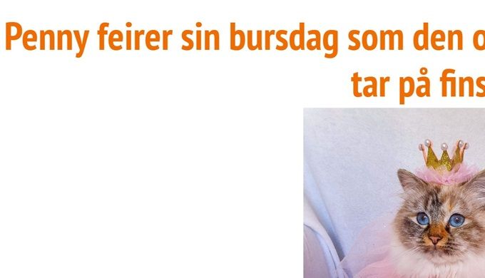 Best totalt ble NO*Stalderkattens Penny - Oppdretter: Tove & Jan Stalder/Eier: Linda Björk Ódinsdóttir