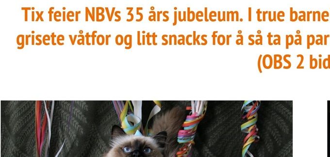 Nummer 3 ble Tix of Sembelance (N) - Oppdretter: Aina K Olsen/Eier: Frida Søyland